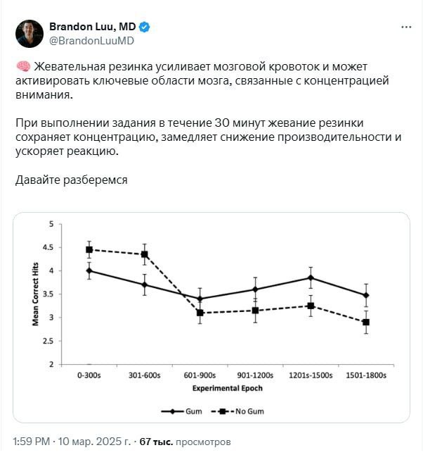Изображение к новости: 🧠 Жвачка бустит работу мозга.

Ученые доказали, ч…