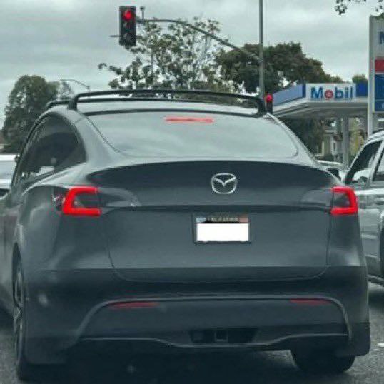 Дополнительное изображение к новости: Машины Tesla проводят ребрендинг: владельцы массо…