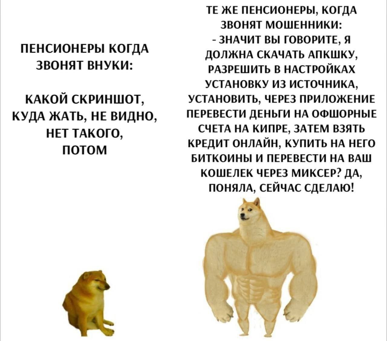 Изображение к новости: Внуку — «не вижу кнопку», мошеннику — DevOps на м…